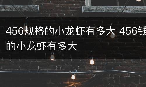 456规格的小龙虾有多大 456钱的小龙虾有多大