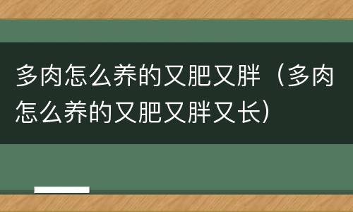 多肉怎么养的又肥又胖（多肉怎么养的又肥又胖又长）