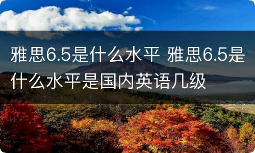雅思6.5是什么水平 雅思6.5是什么水平是国内英语几级
