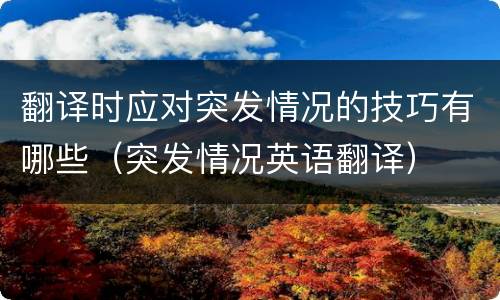 翻译时应对突发情况的技巧有哪些（突发情况英语翻译）