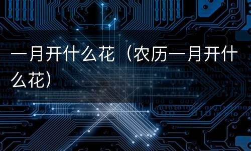 一月开什么花（农历一月开什么花）