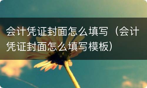 会计凭证封面怎么填写（会计凭证封面怎么填写模板）
