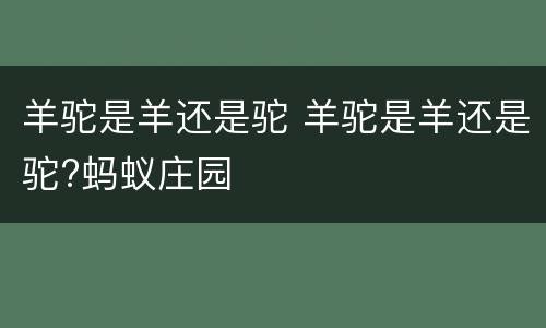 羊驼是羊还是驼 羊驼是羊还是驼?蚂蚁庄园