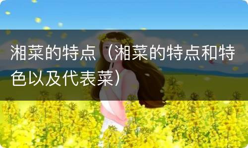 湘菜的特点（湘菜的特点和特色以及代表菜）