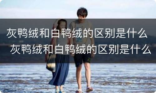灰鸭绒和白鸭绒的区别是什么 灰鸭绒和白鸭绒的区别是什么90绒
