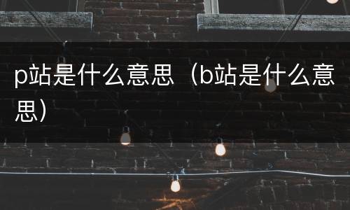 p站是什么意思（b站是什么意思）