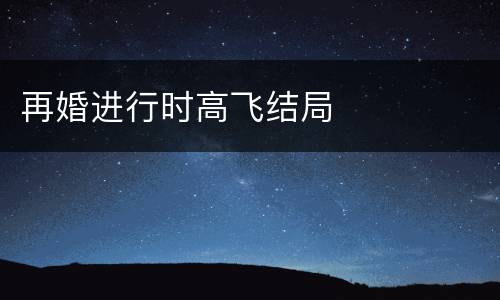 再婚进行时高飞结局