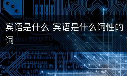 宾语是什么 宾语是什么词性的词
