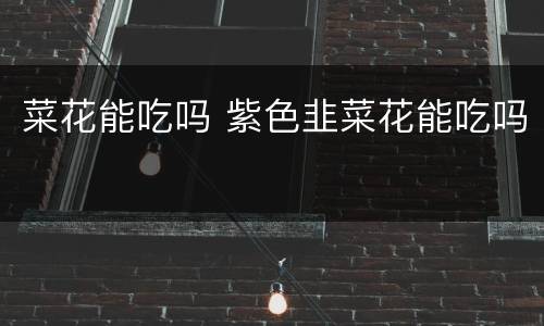 菜花能吃吗 紫色韭菜花能吃吗