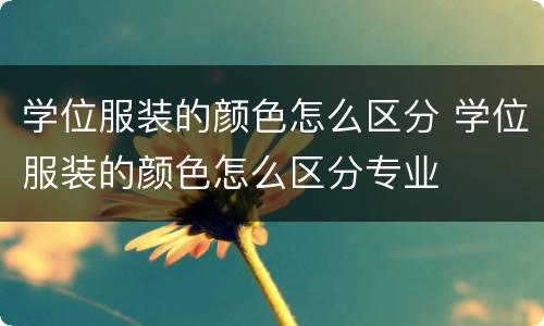 学位服装的颜色怎么区分 学位服装的颜色怎么区分专业