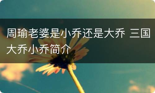 周瑜老婆是小乔还是大乔 三国大乔小乔简介