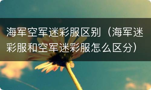 海军空军迷彩服区别（海军迷彩服和空军迷彩服怎么区分）
