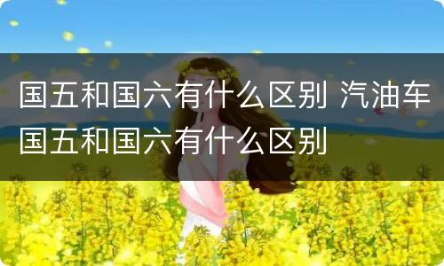 国五和国六有什么区别 汽油车国五和国六有什么区别