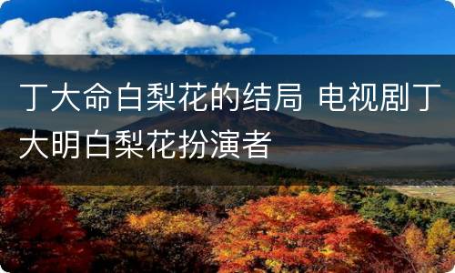 丁大命白梨花的结局 电视剧丁大明白梨花扮演者