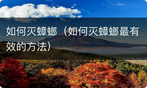 如何灭蟑螂（如何灭蟑螂最有效的方法）