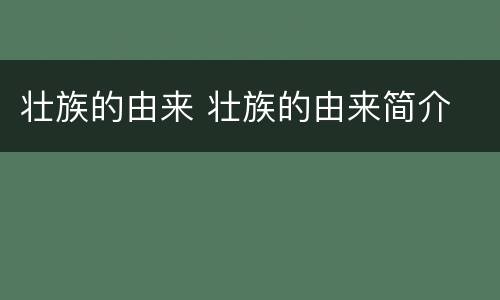 壮族的由来 壮族的由来简介