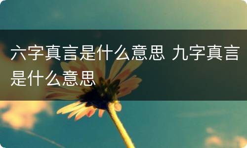 六字真言是什么意思 九字真言是什么意思