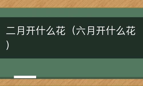 二月开什么花（六月开什么花）