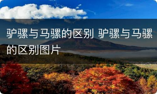 驴骡与马骡的区别 驴骡与马骡的区别图片