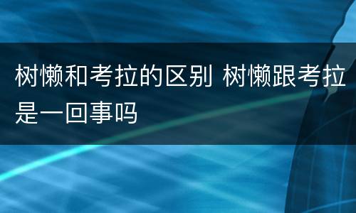 树懒和考拉的区别 树懒跟考拉是一回事吗
