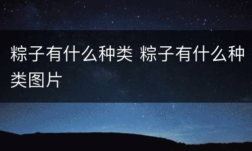 粽子有什么种类 粽子有什么种类图片