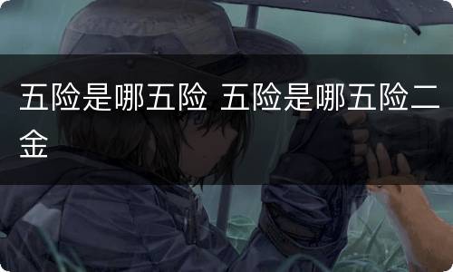 五险是哪五险 五险是哪五险二金