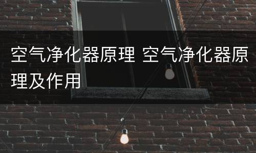 空气净化器原理 空气净化器原理及作用