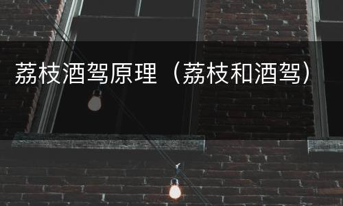 荔枝酒驾原理（荔枝和酒驾）