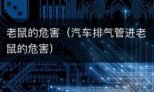 老鼠的危害（汽车排气管进老鼠的危害）