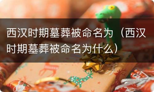 西汉时期墓葬被命名为（西汉时期墓葬被命名为什么）