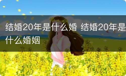 结婚20年是什么婚 结婚20年是什么婚姻