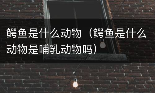 鳄鱼是什么动物（鳄鱼是什么动物是哺乳动物吗）