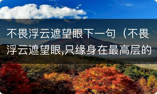 不畏浮云遮望眼下一句（不畏浮云遮望眼,只缘身在最高层的哲理）