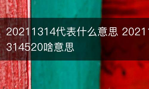 20211314代表什么意思 20211314520啥意思