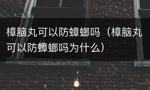 樟脑丸可以防蟑螂吗（樟脑丸可以防蟑螂吗为什么）