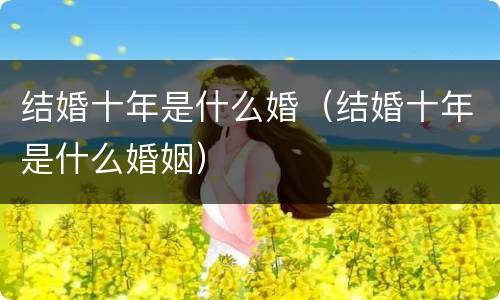 结婚十年是什么婚（结婚十年是什么婚姻）