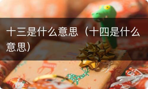 十三是什么意思（十四是什么意思）