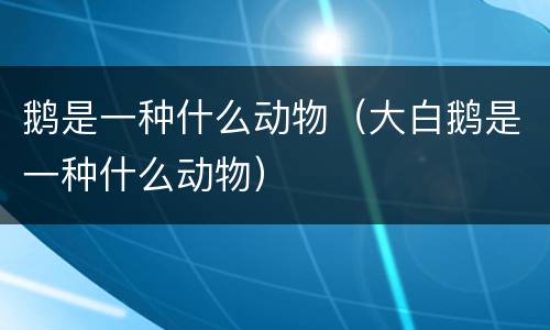 鹅是一种什么动物（大白鹅是一种什么动物）