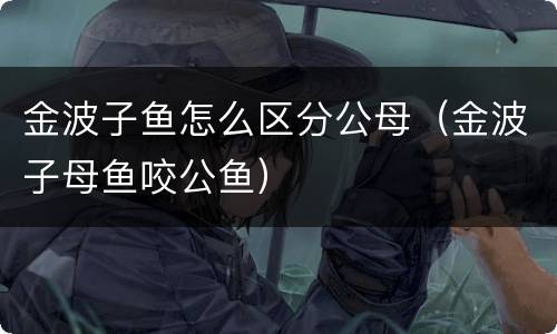 金波子鱼怎么区分公母（金波子母鱼咬公鱼）