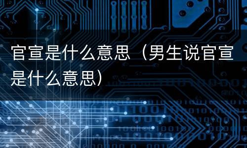 官宣是什么意思（男生说官宣是什么意思）