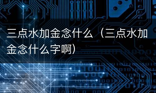 三点水加金念什么（三点水加金念什么字啊）