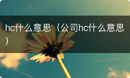 hc什么意思（公司hc什么意思）