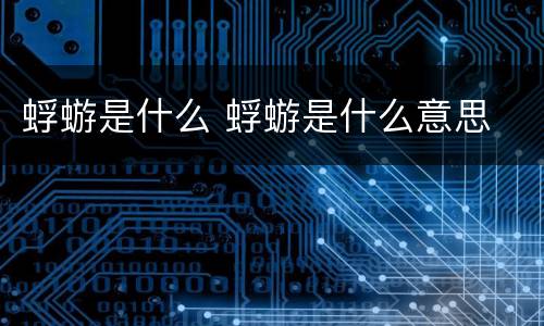 蜉蝣是什么 蜉蝣是什么意思