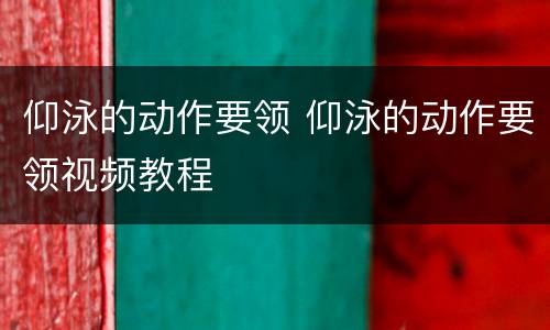 仰泳的动作要领 仰泳的动作要领视频教程
