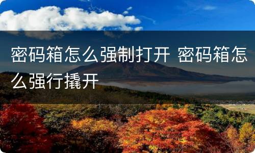 密码箱怎么强制打开 密码箱怎么强行撬开