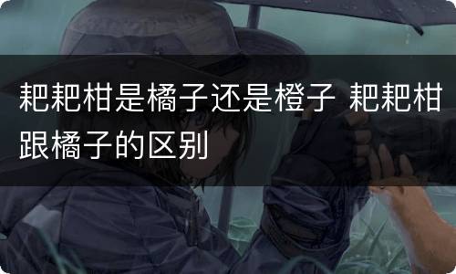 耙耙柑是橘子还是橙子 耙耙柑跟橘子的区别