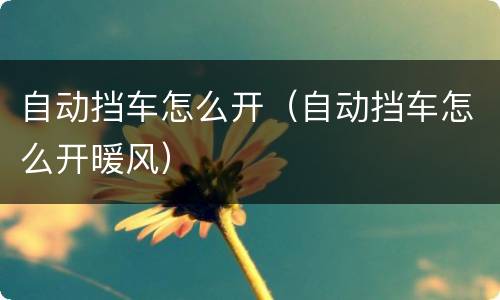 自动挡车怎么开（自动挡车怎么开暖风）