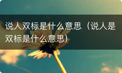 说人双标是什么意思（说人是双标是什么意思）