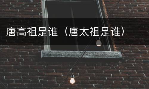 唐高祖是谁（唐太祖是谁）