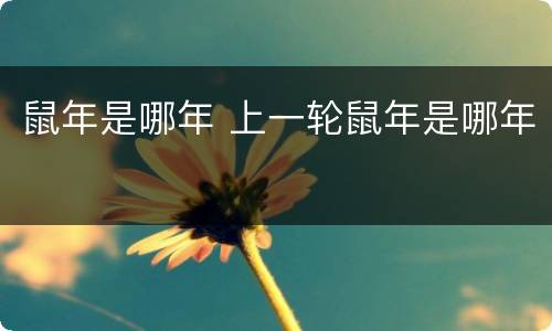 鼠年是哪年 上一轮鼠年是哪年